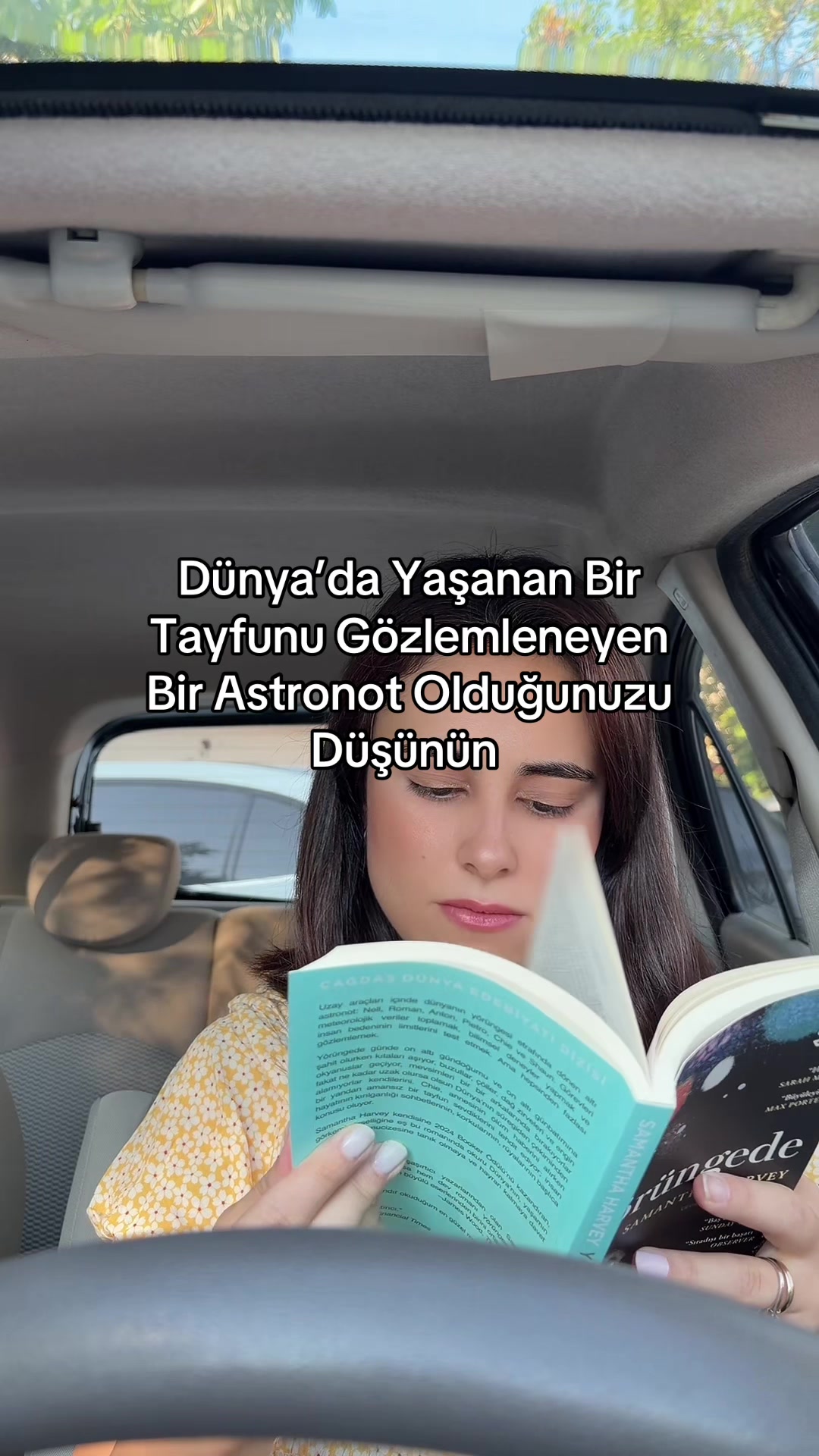 @İstanbul Kedisi
