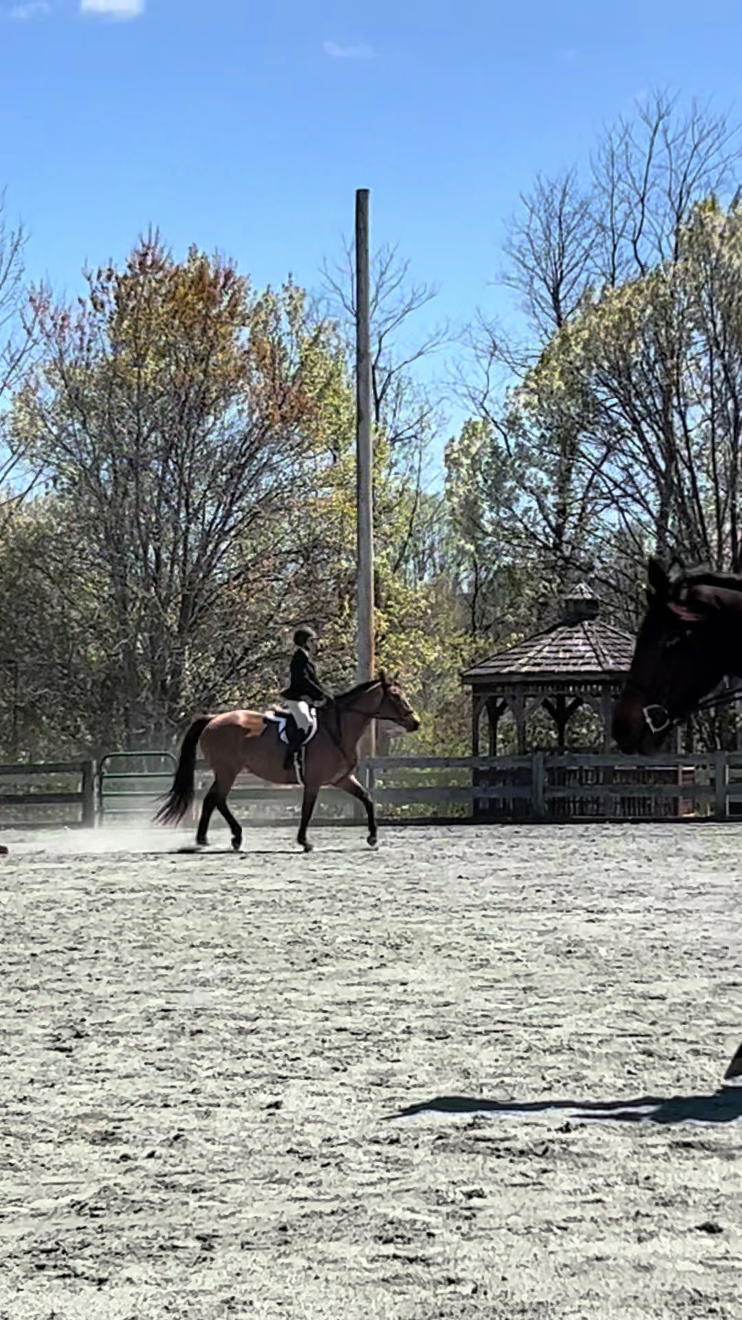 @Aftyn 🐎