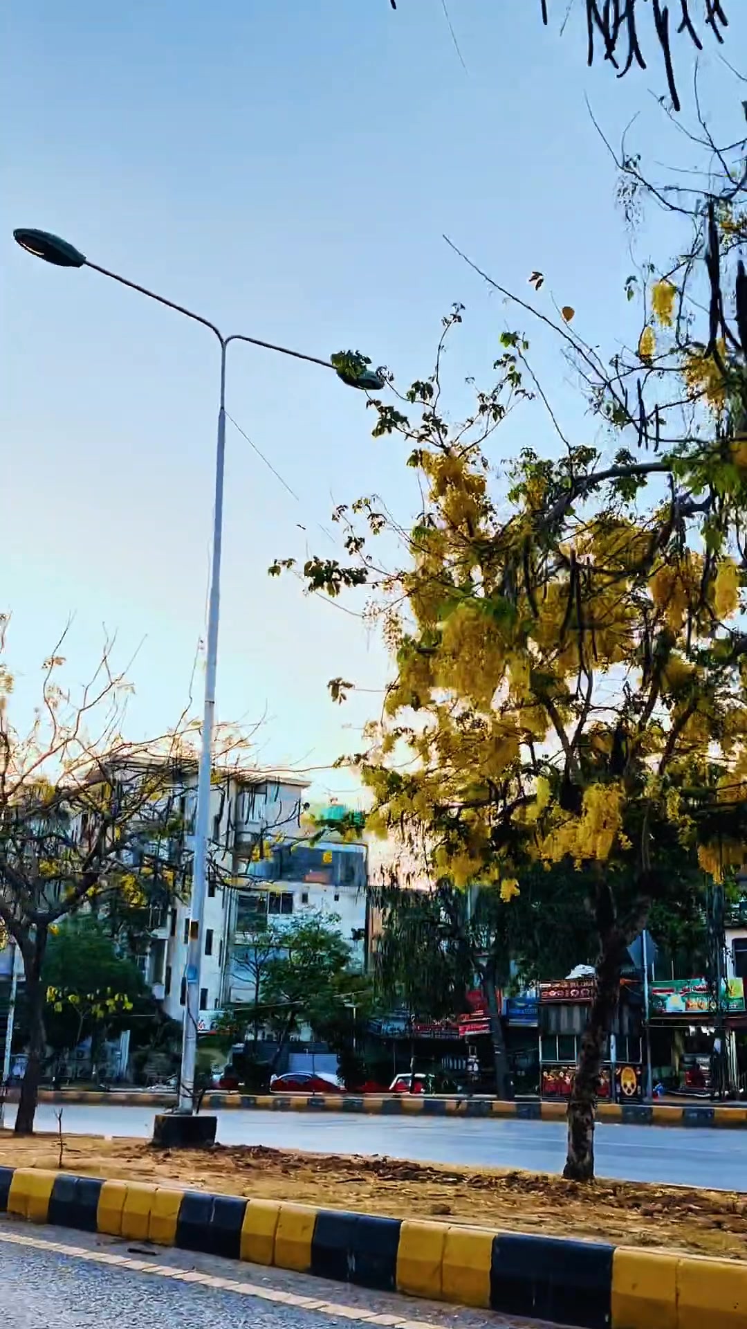 @𝐏 𝐀 𝐍 𝐀 𝐃 𝐎 𝐋-💊
