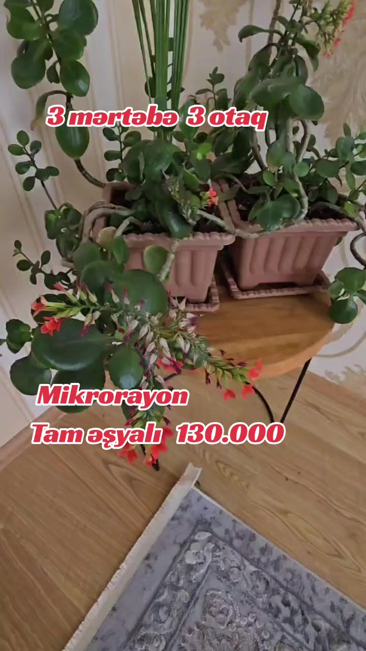 @Guven emlak Mahir