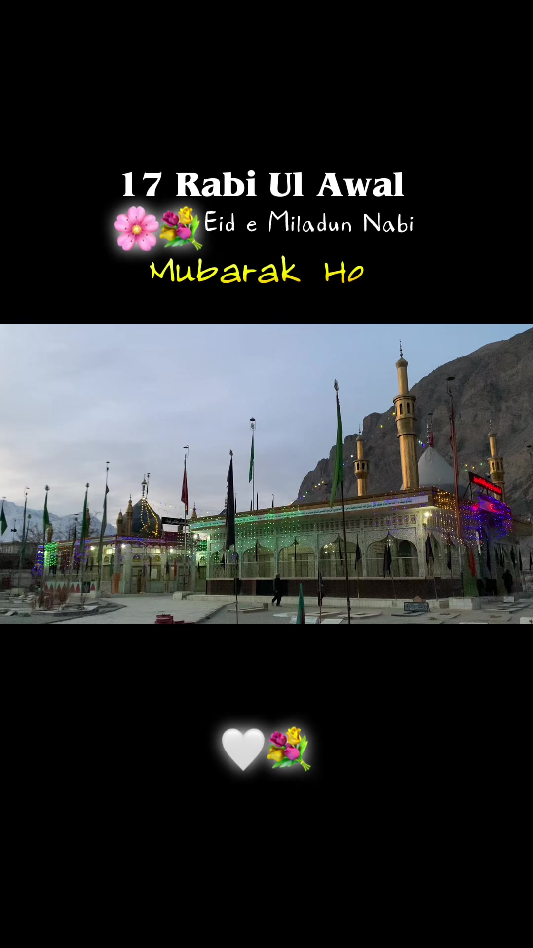 @🕊️۔م