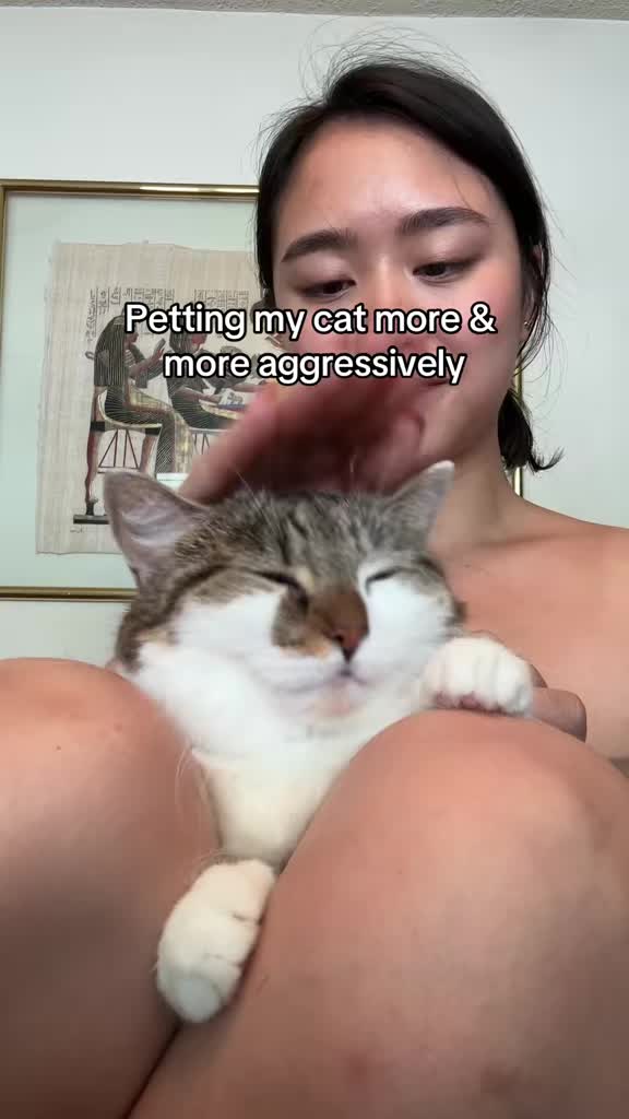 @Suki Purrs