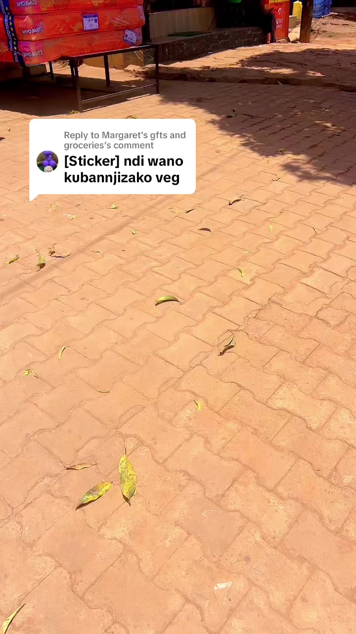 @immybeddingsandmatresses