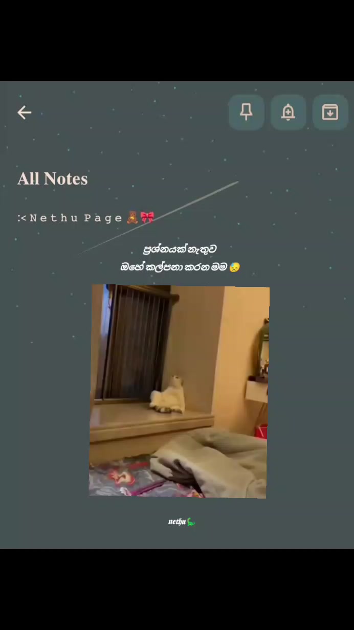 @𝖓𝖊𝖙𝖍𝖚🦕