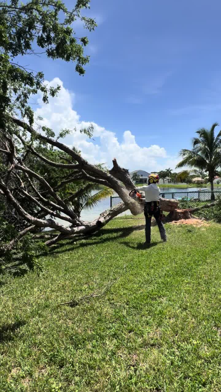 @Franco Tree Service Pro