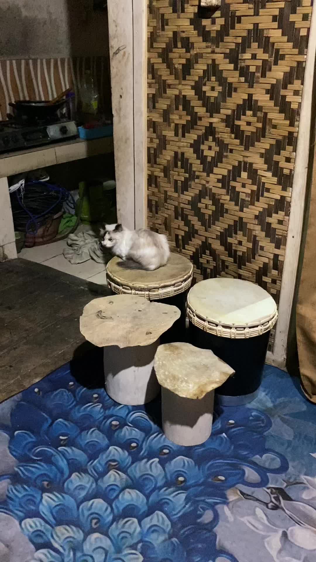 @“SENI REAK PUTRA MUNGGUL”