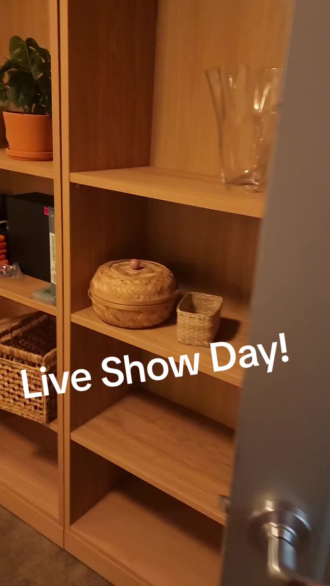 @Catieosaurus