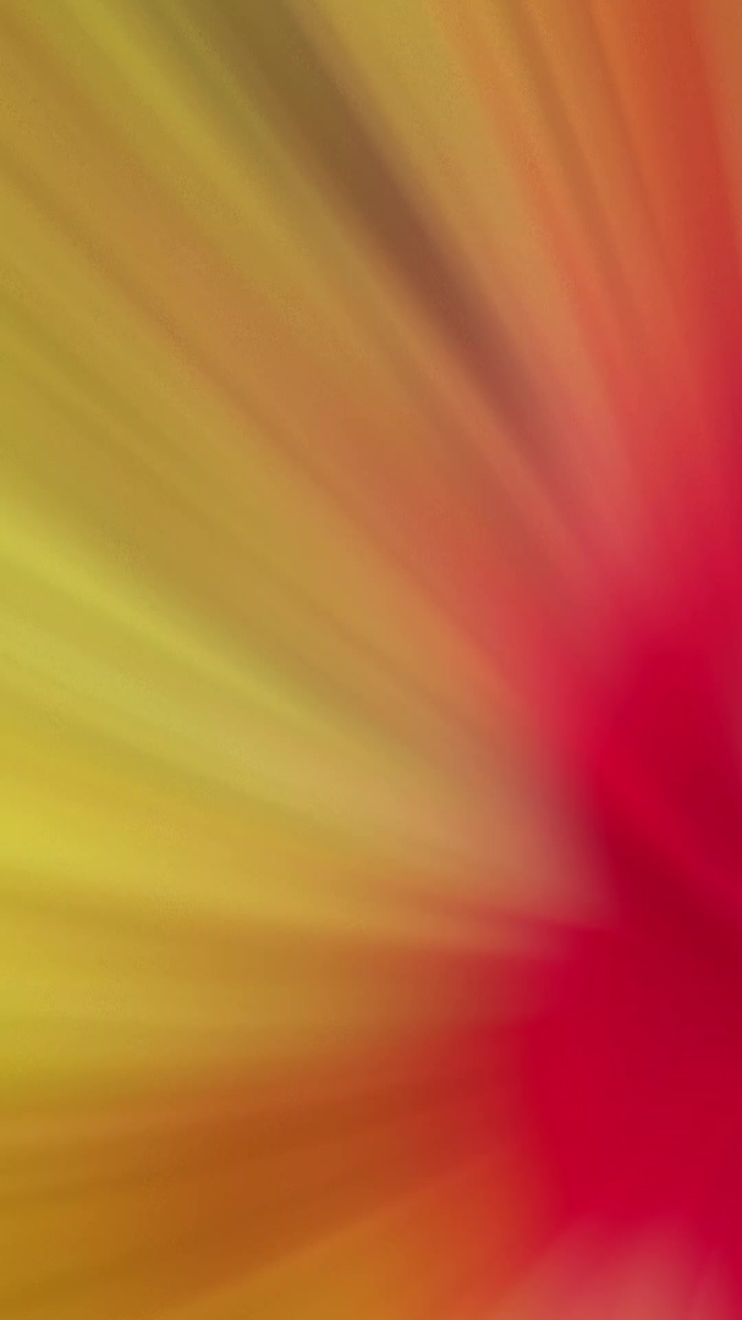 @𝙱𝚞𝚗𝚊🌺