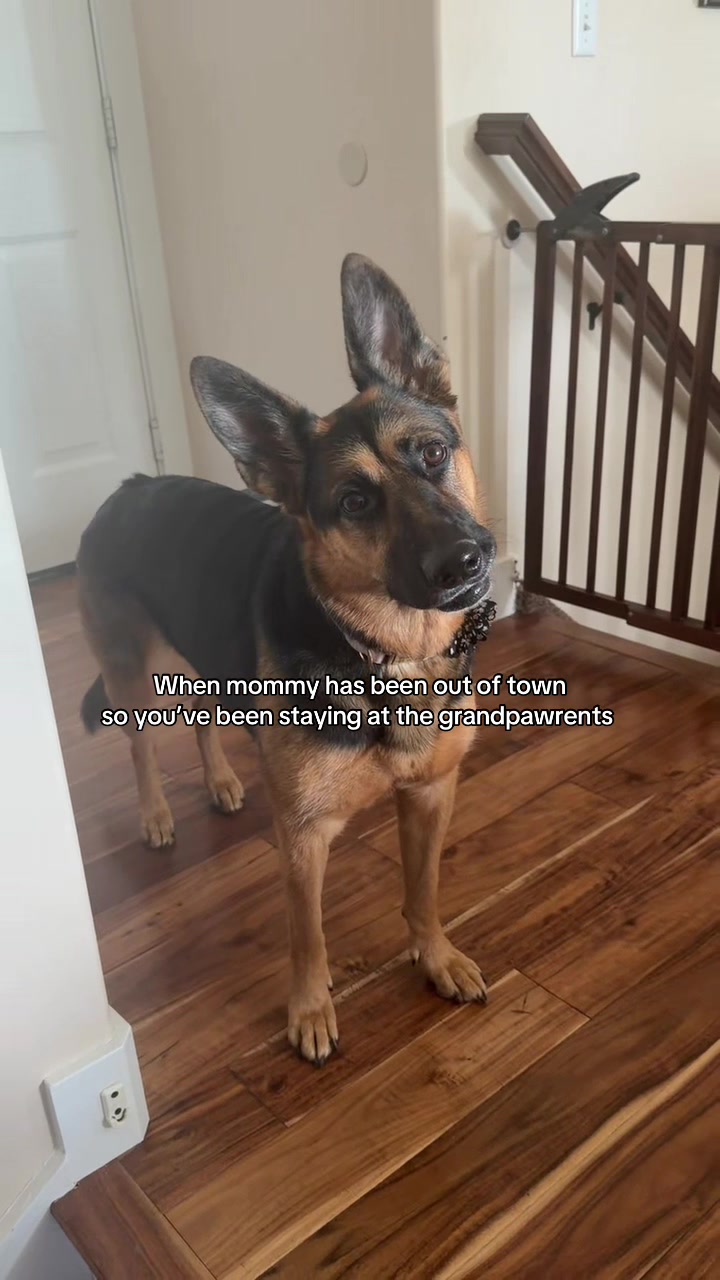 @Rory The Not-Working GSD