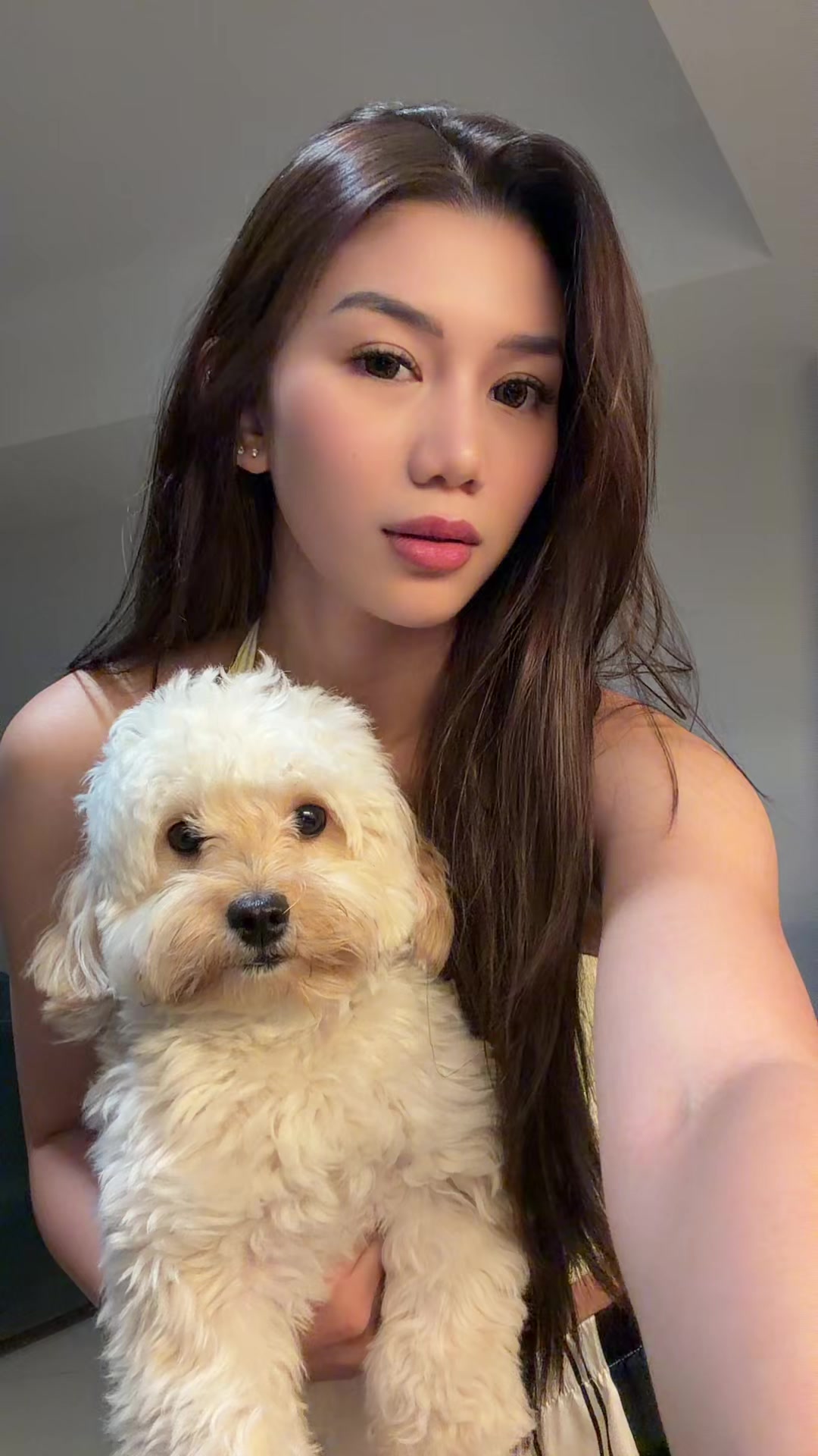 @shintakliang
