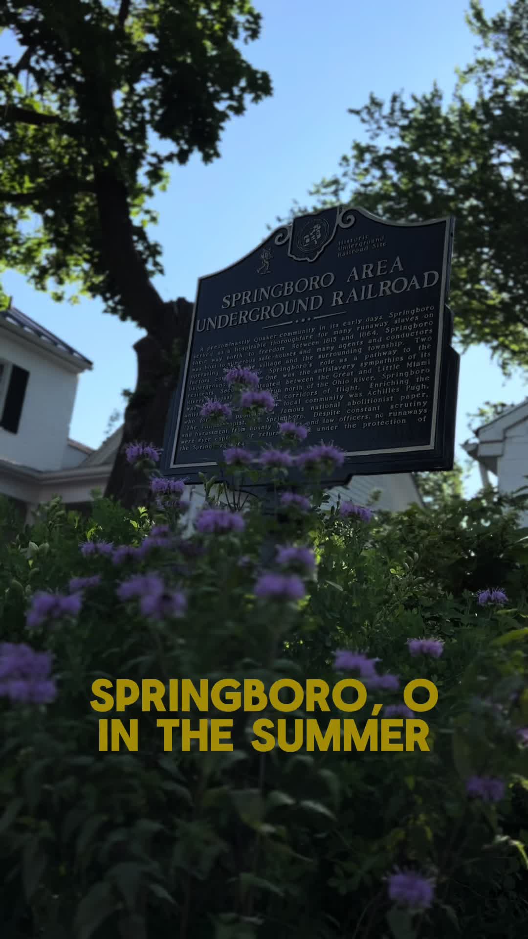 @Springboro Chamber of Commerce