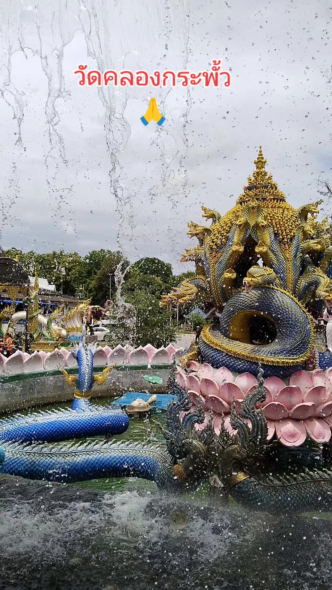@PUI ปุ๋ย ปุ๋ย