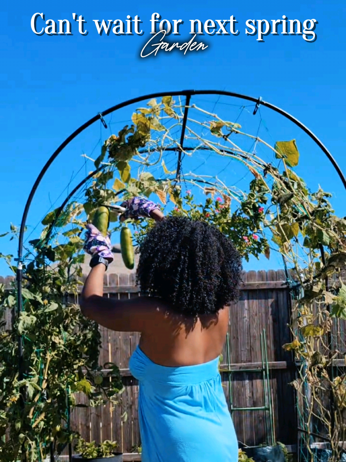 @Mrzchoice| Lifestyle+ Garden🌸