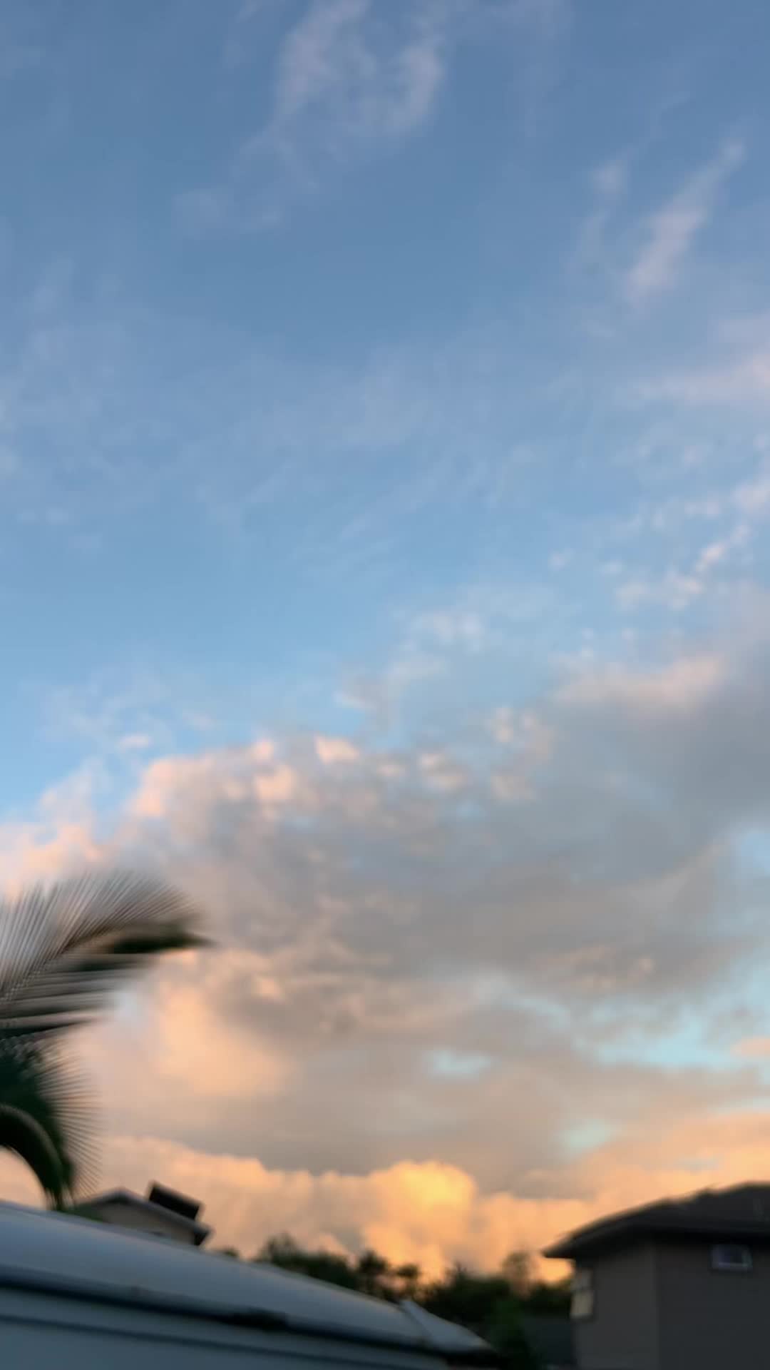 @Aaron🌴808