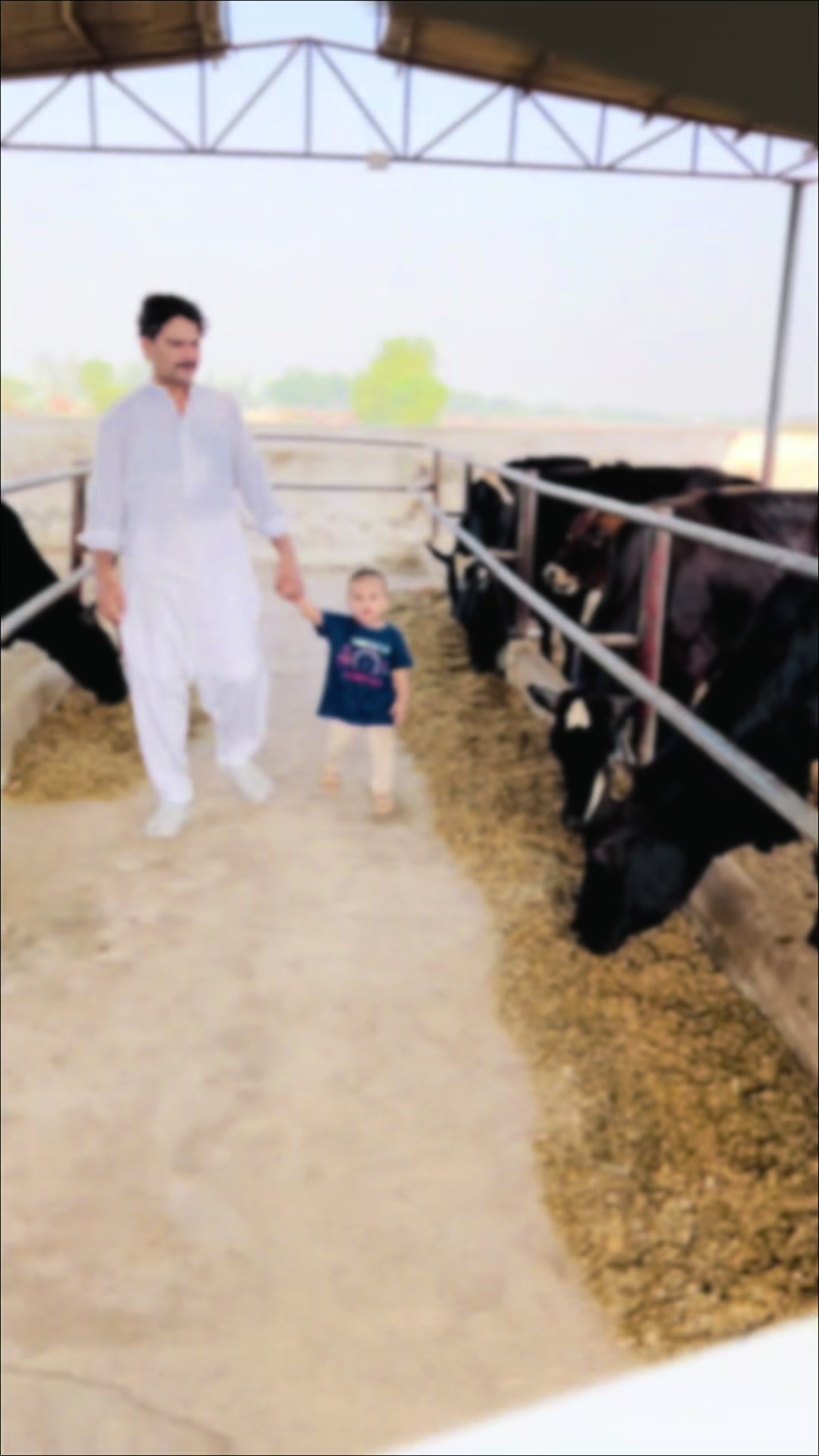 @سردارشہزاداحمدڈوگرايڈوکيٹ ⚖️