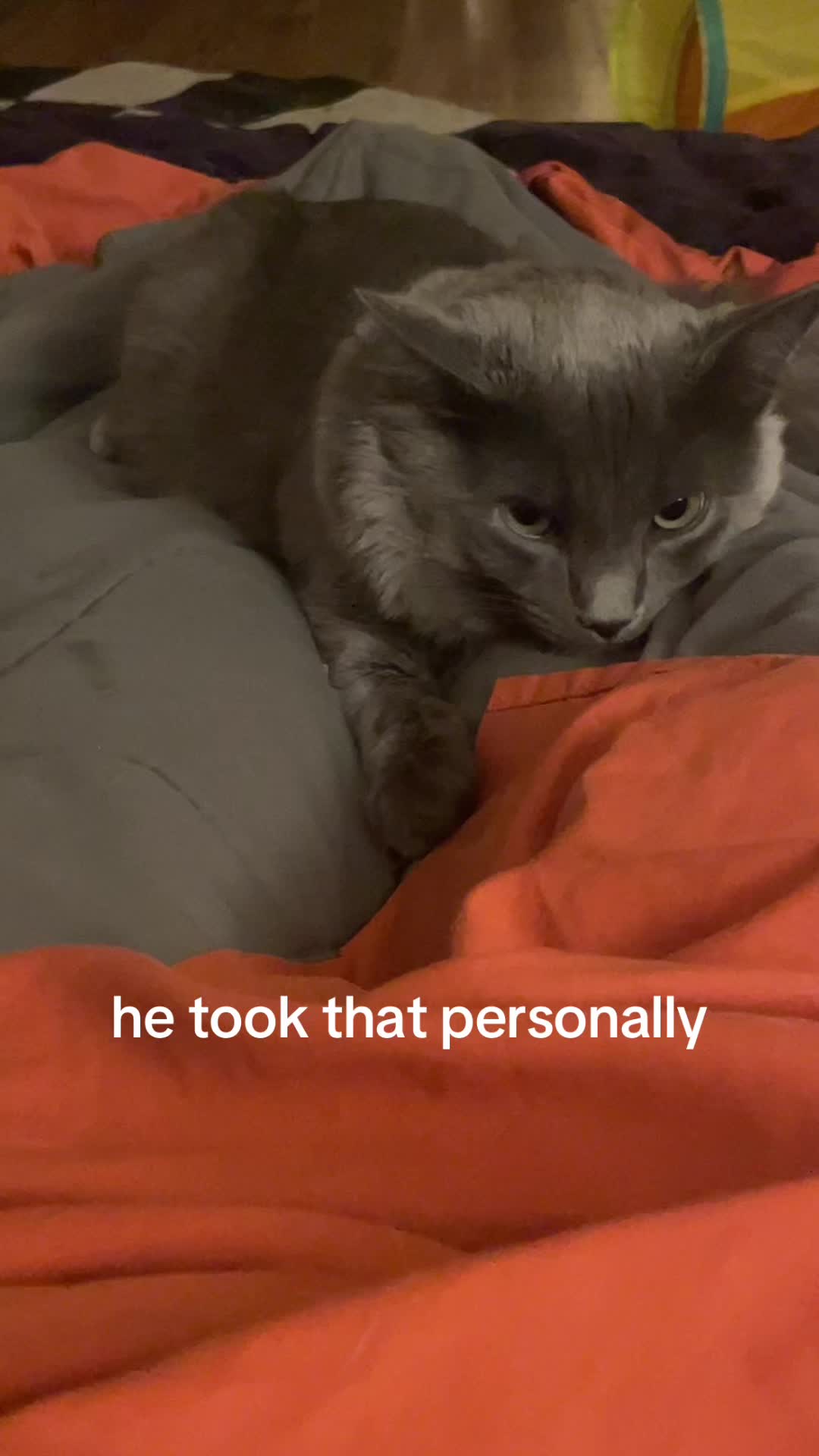 @LilRips