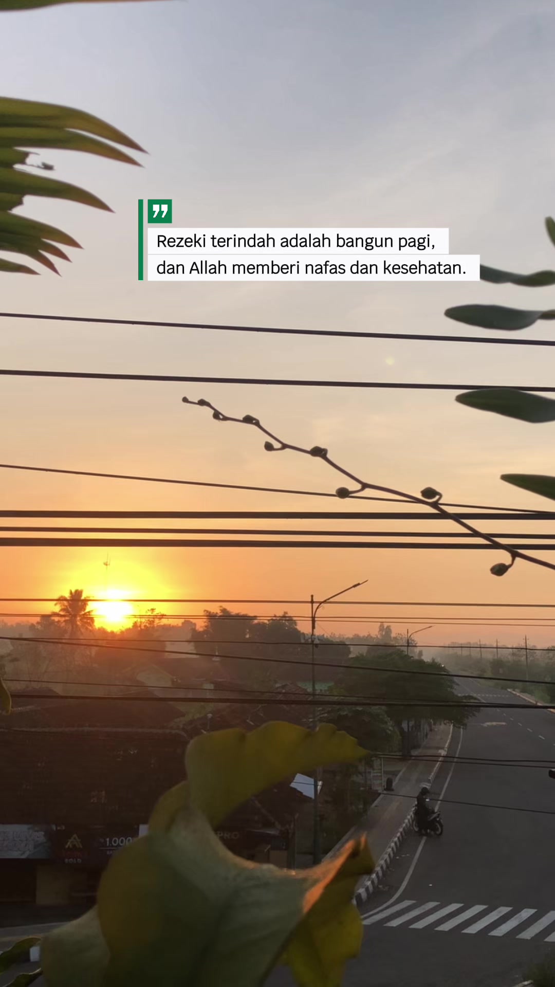 @M.Sw