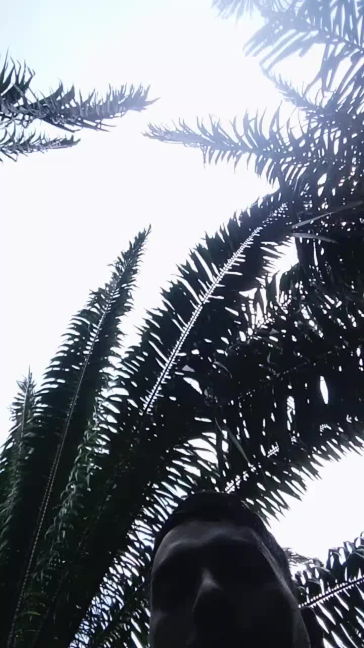 @rampukar mukhiya