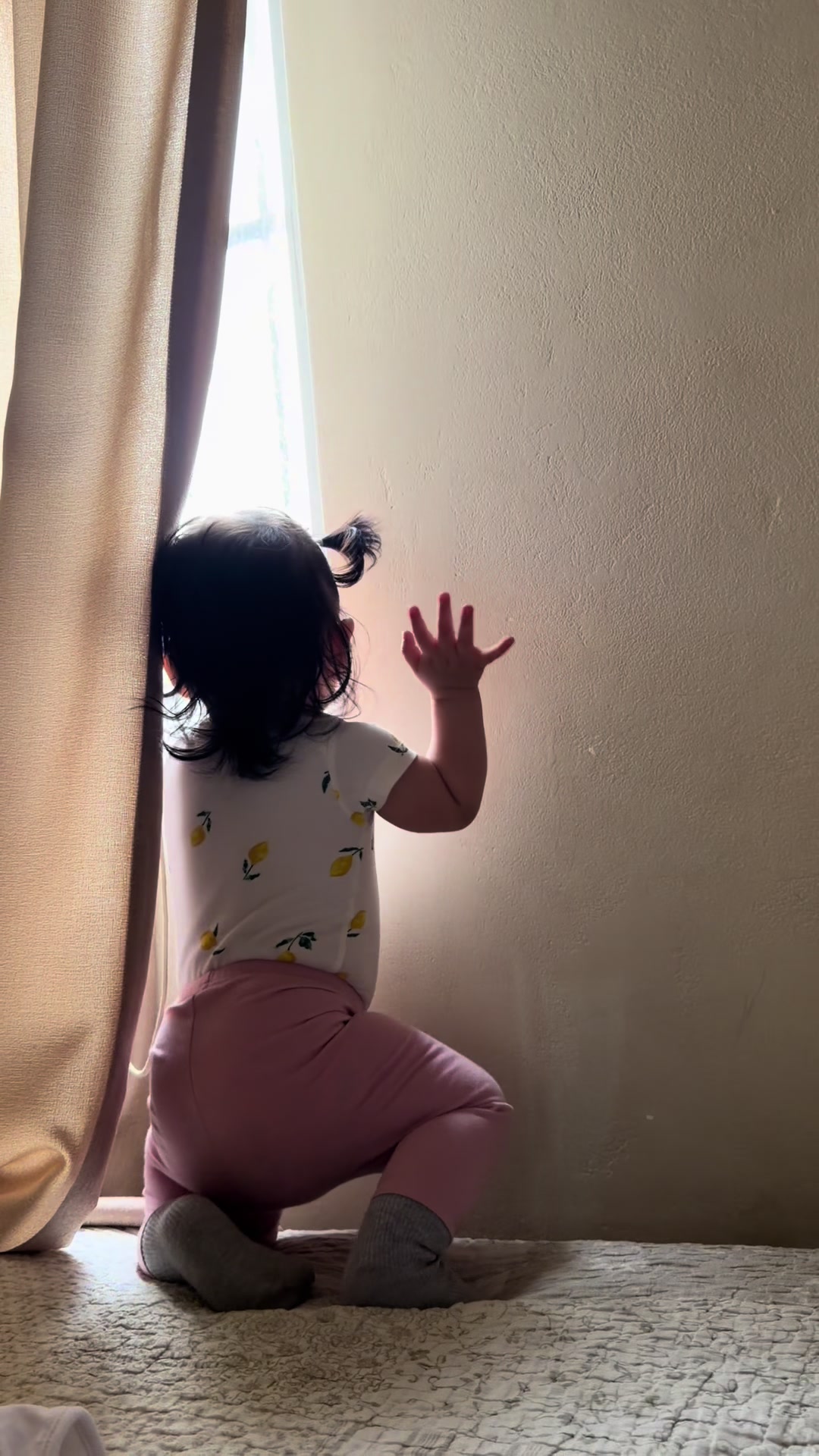 @Mayra Noblega