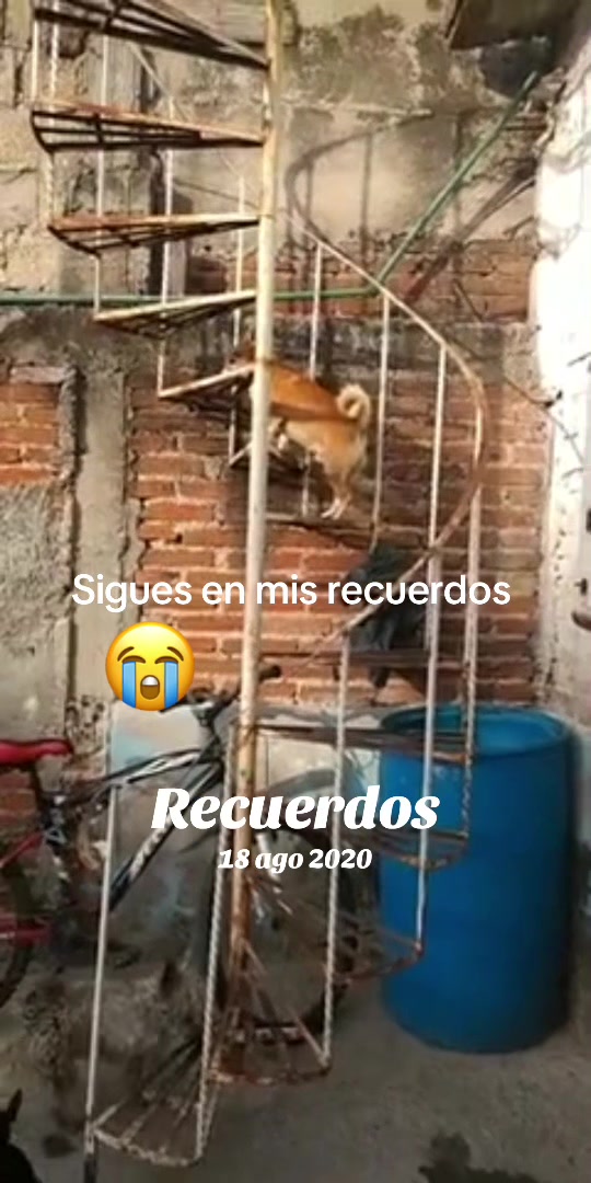 @Erick H Guerrero Gom