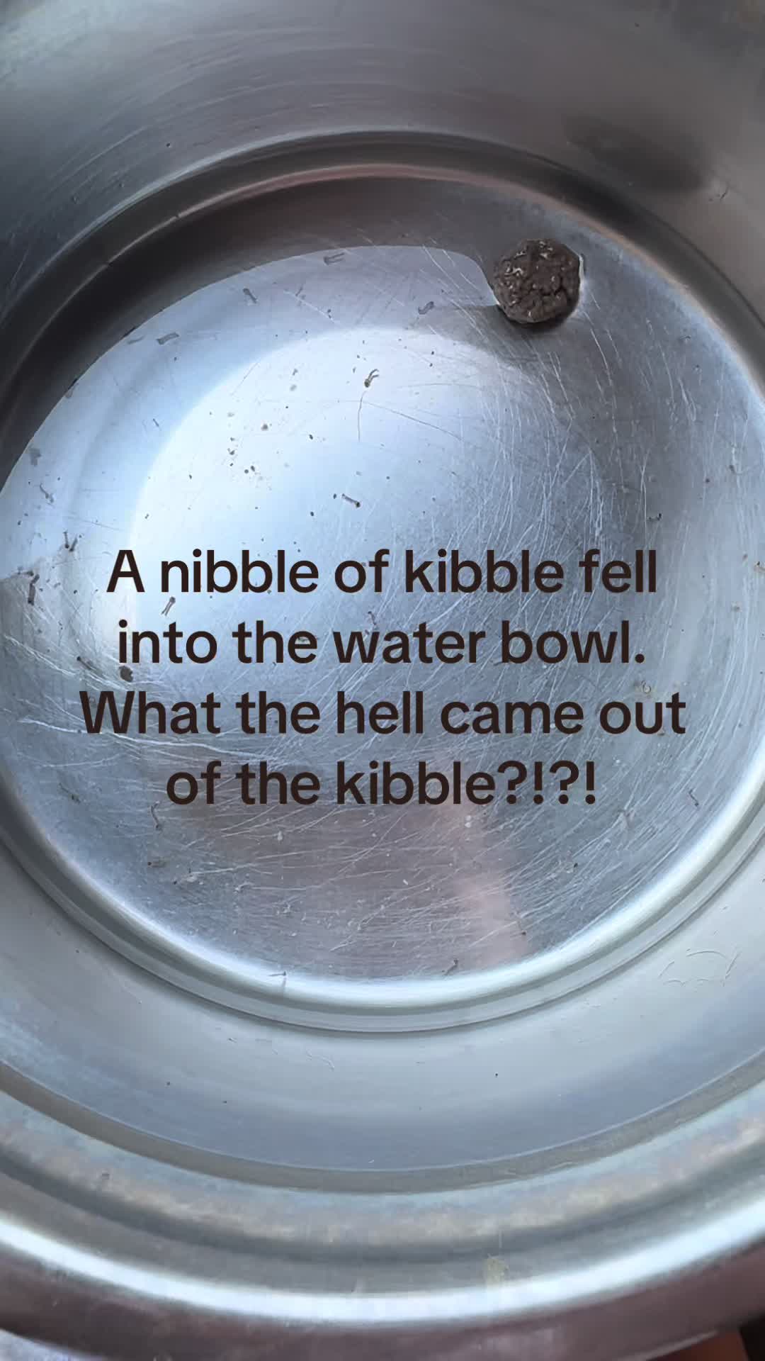@traciebscrollin