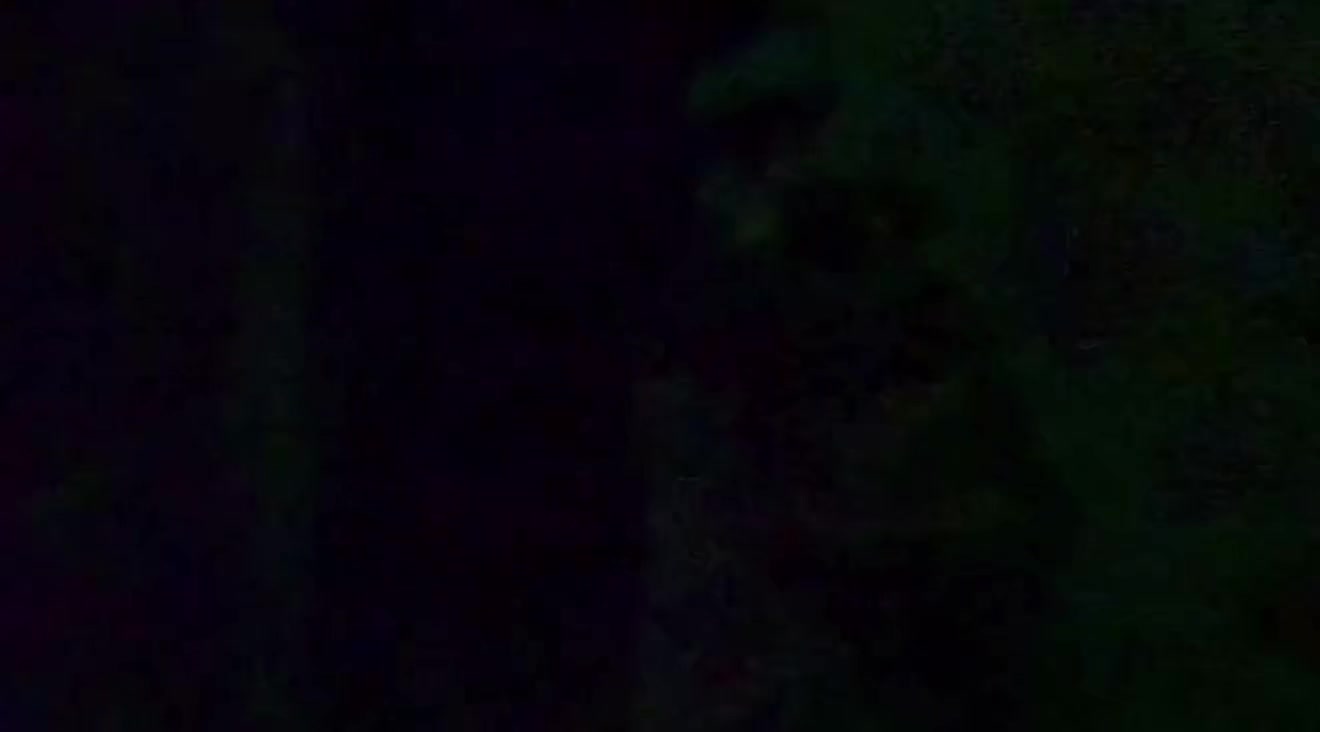 @FaJiaShu