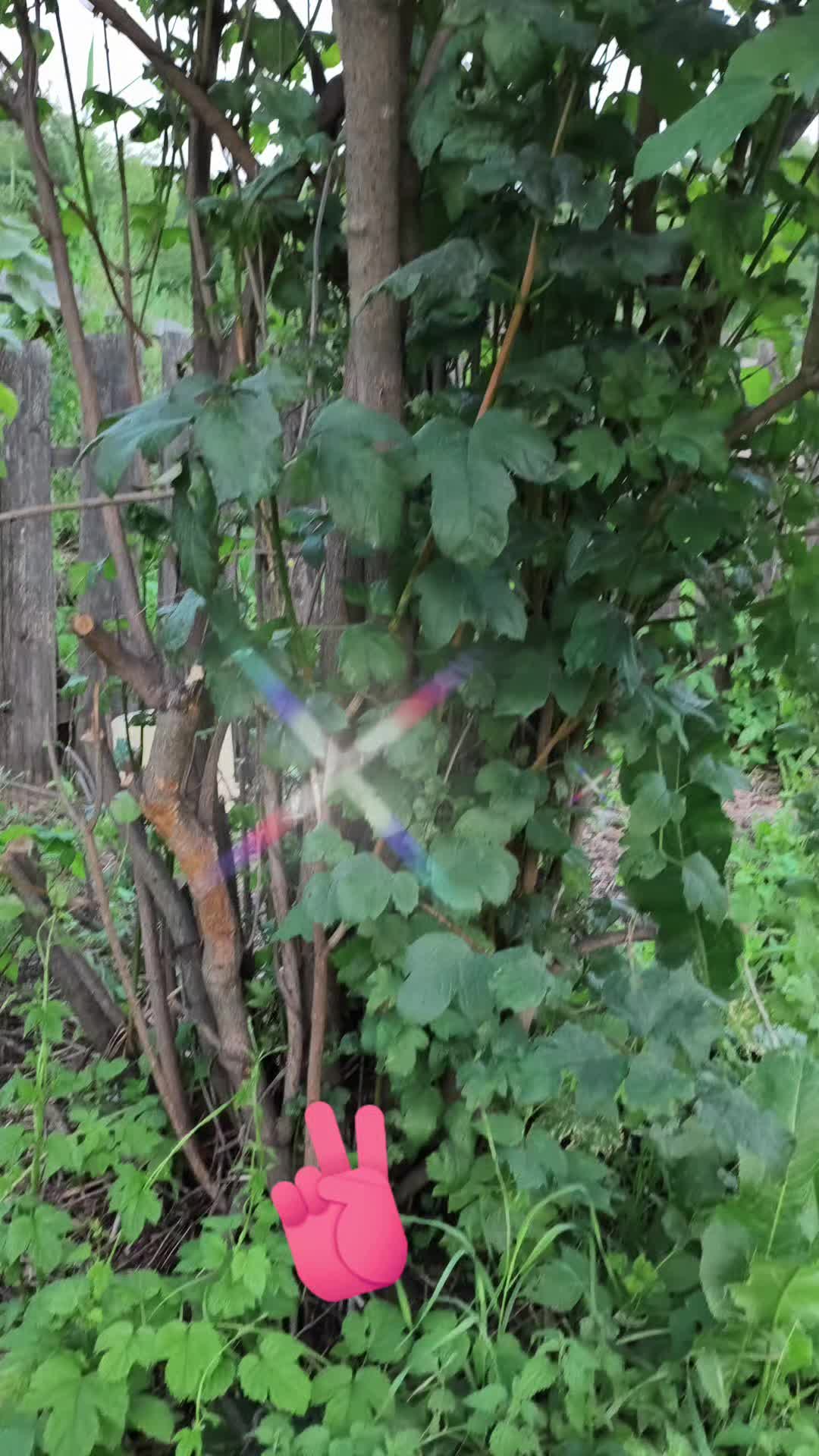 @Ольга🌷