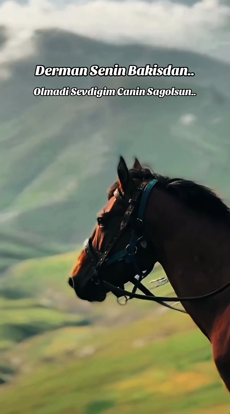 @Gül๐น
