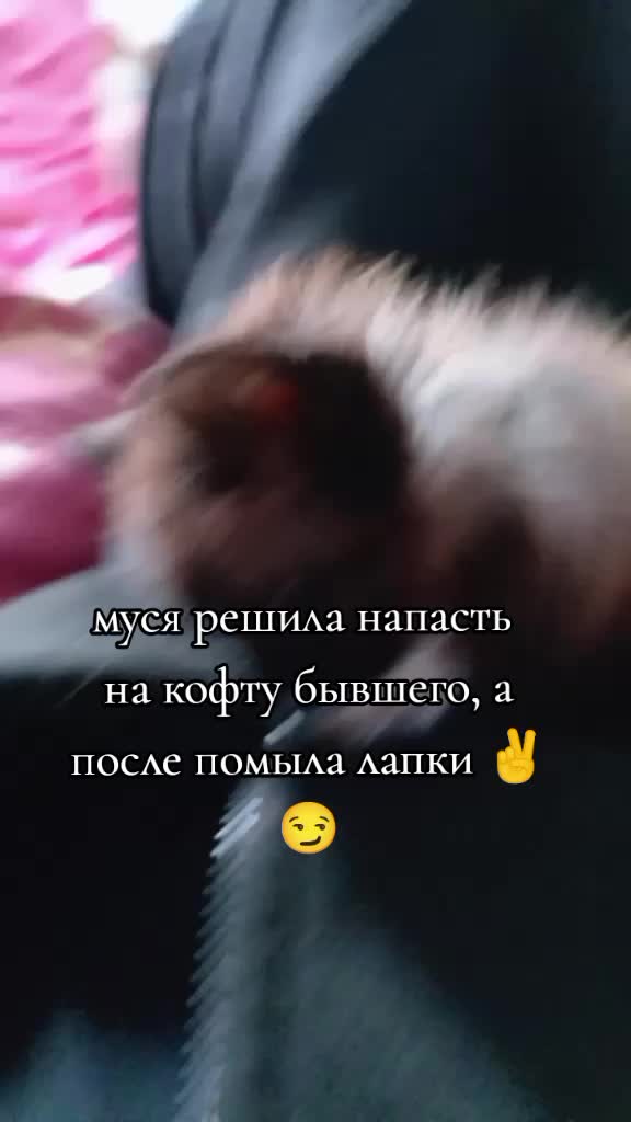 @𝐥𝐨𝐥𝐢𝐤𝟏_𝐌/𝐗💋🥷
