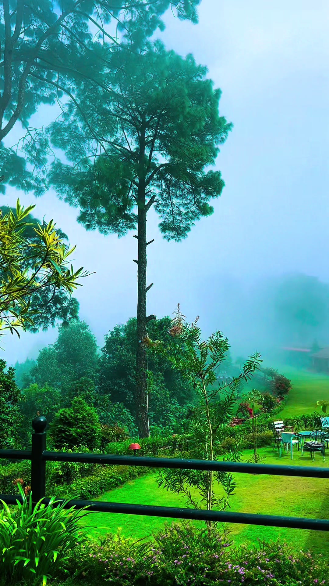 @Laxman limbu