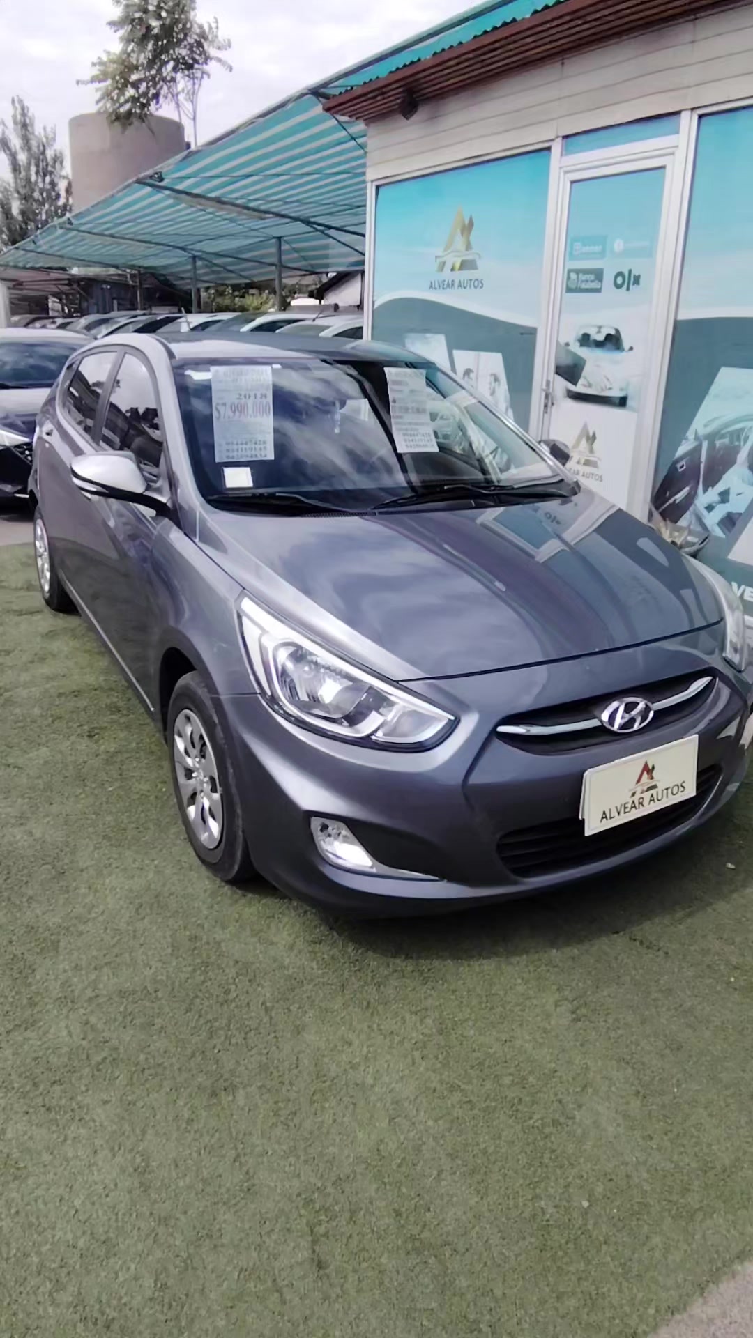 @www.alvearautos.cl