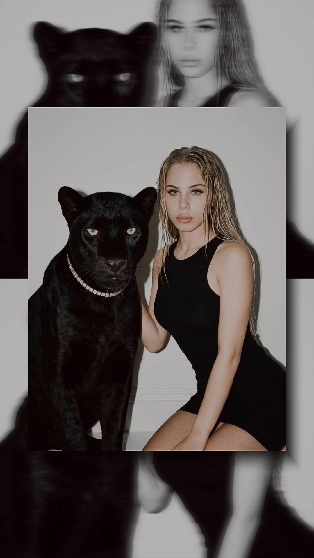 @𝓚𝓪𝓻𝓲𝓷𝓪
