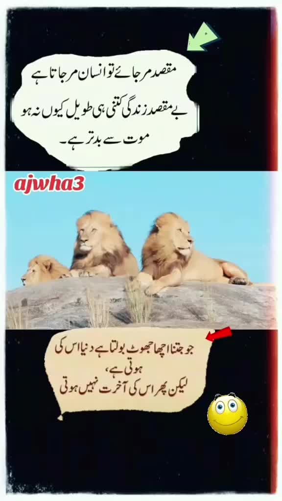 @shakir