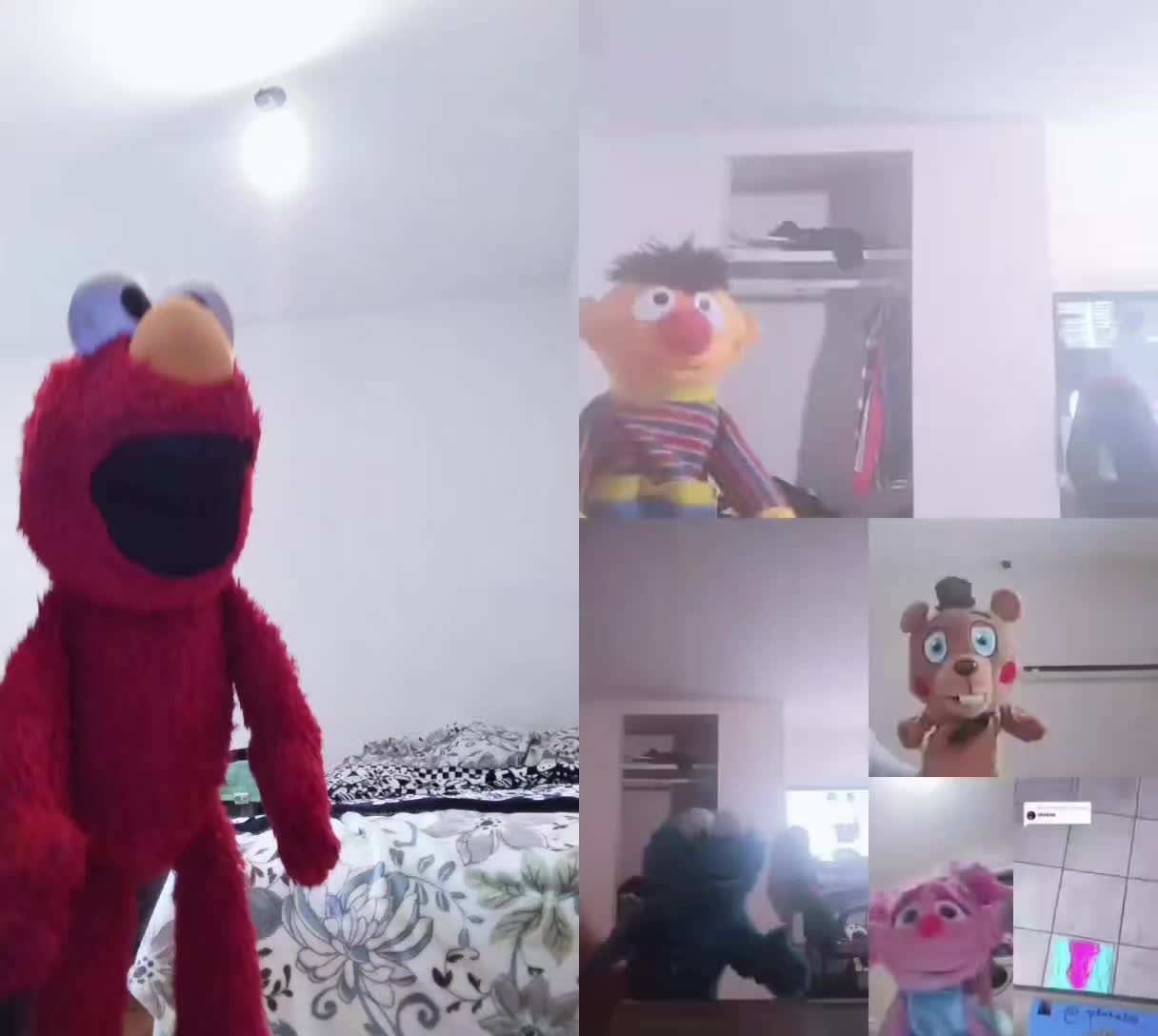 @Kermit The Frog Tiktok
