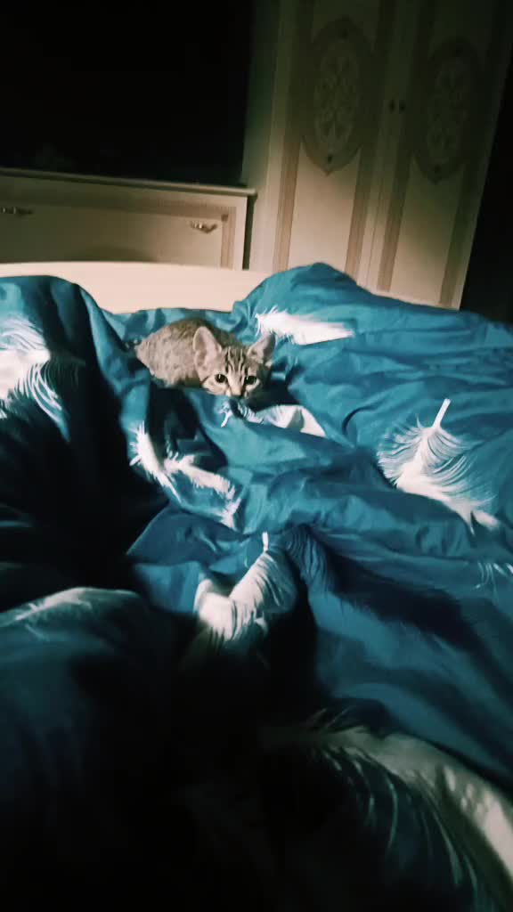 @Анютка