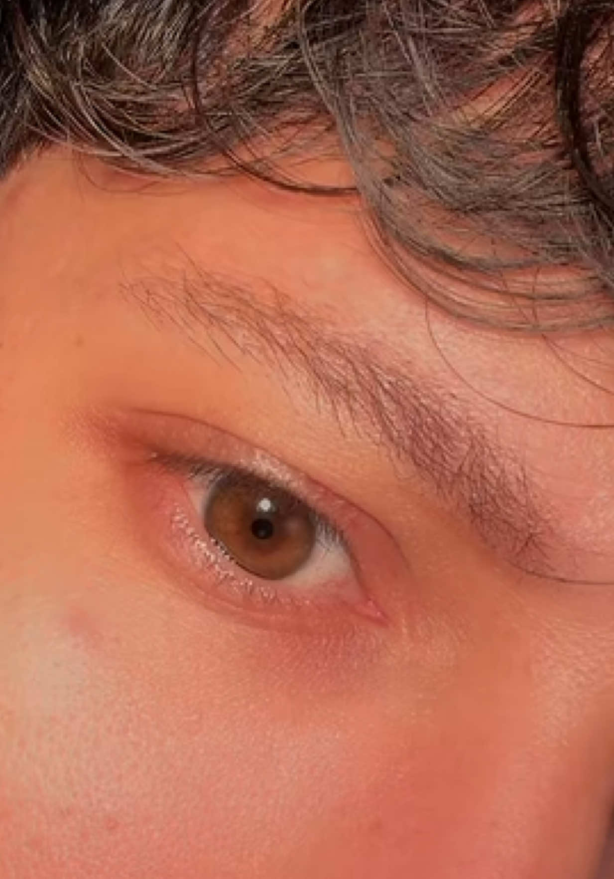 @El.alectoso