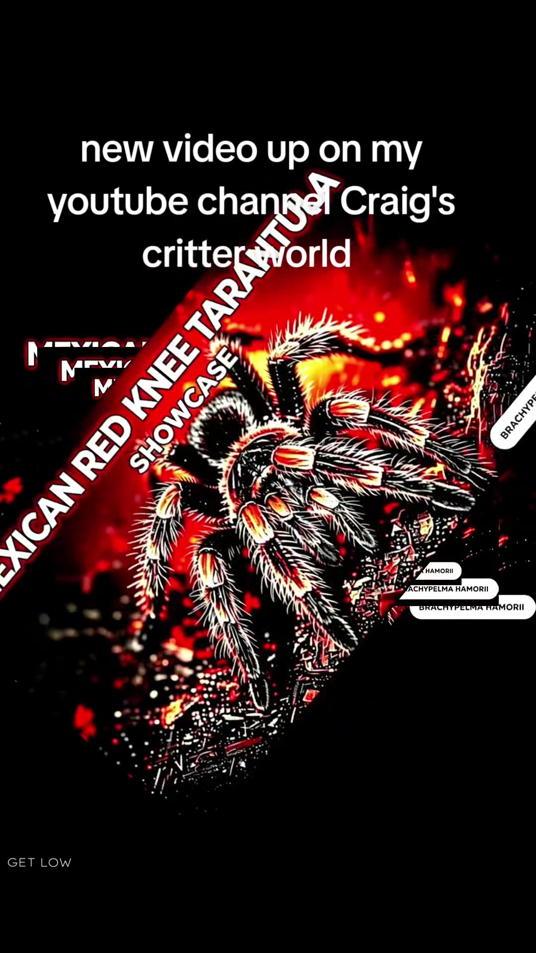 @craigscritterworld1
