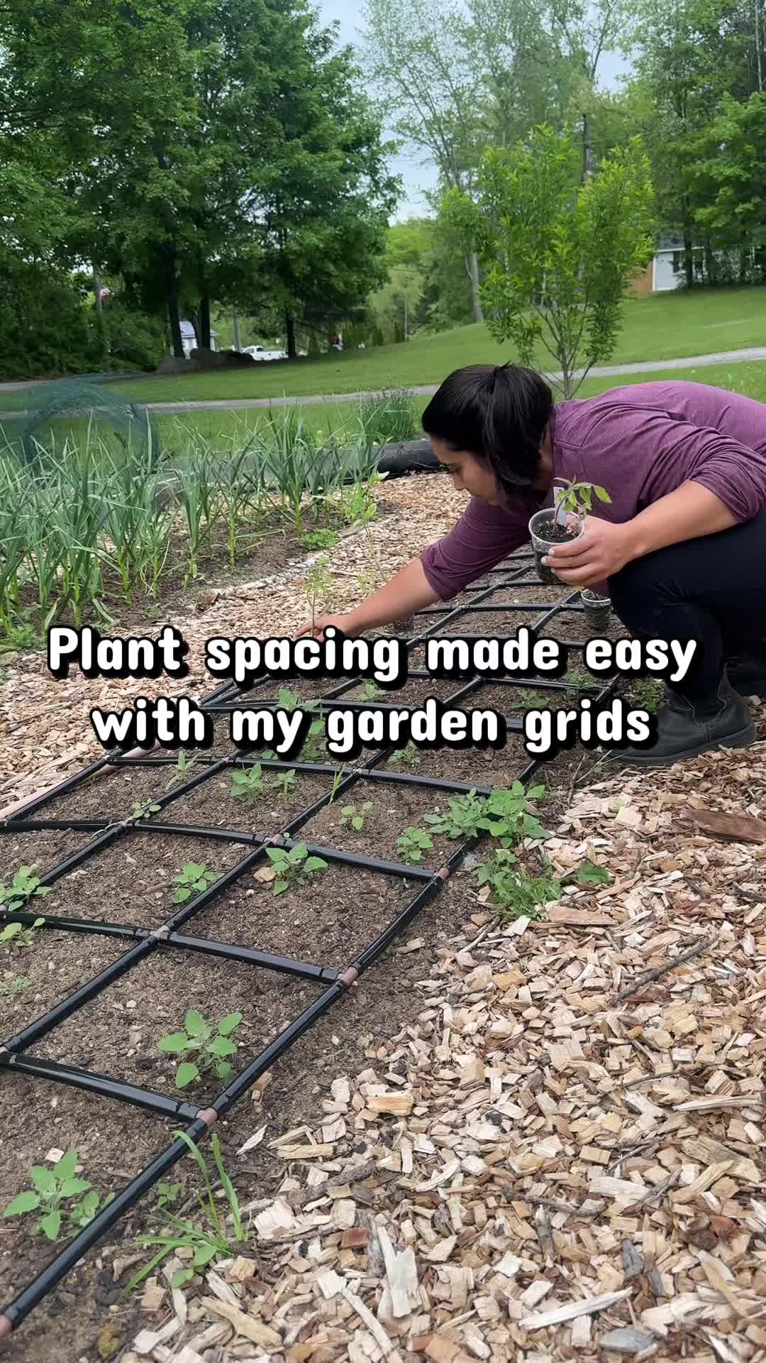 @Manica | zone 6a gardener