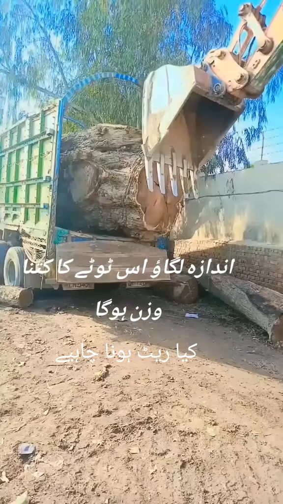 @Noorkhan Pathaan