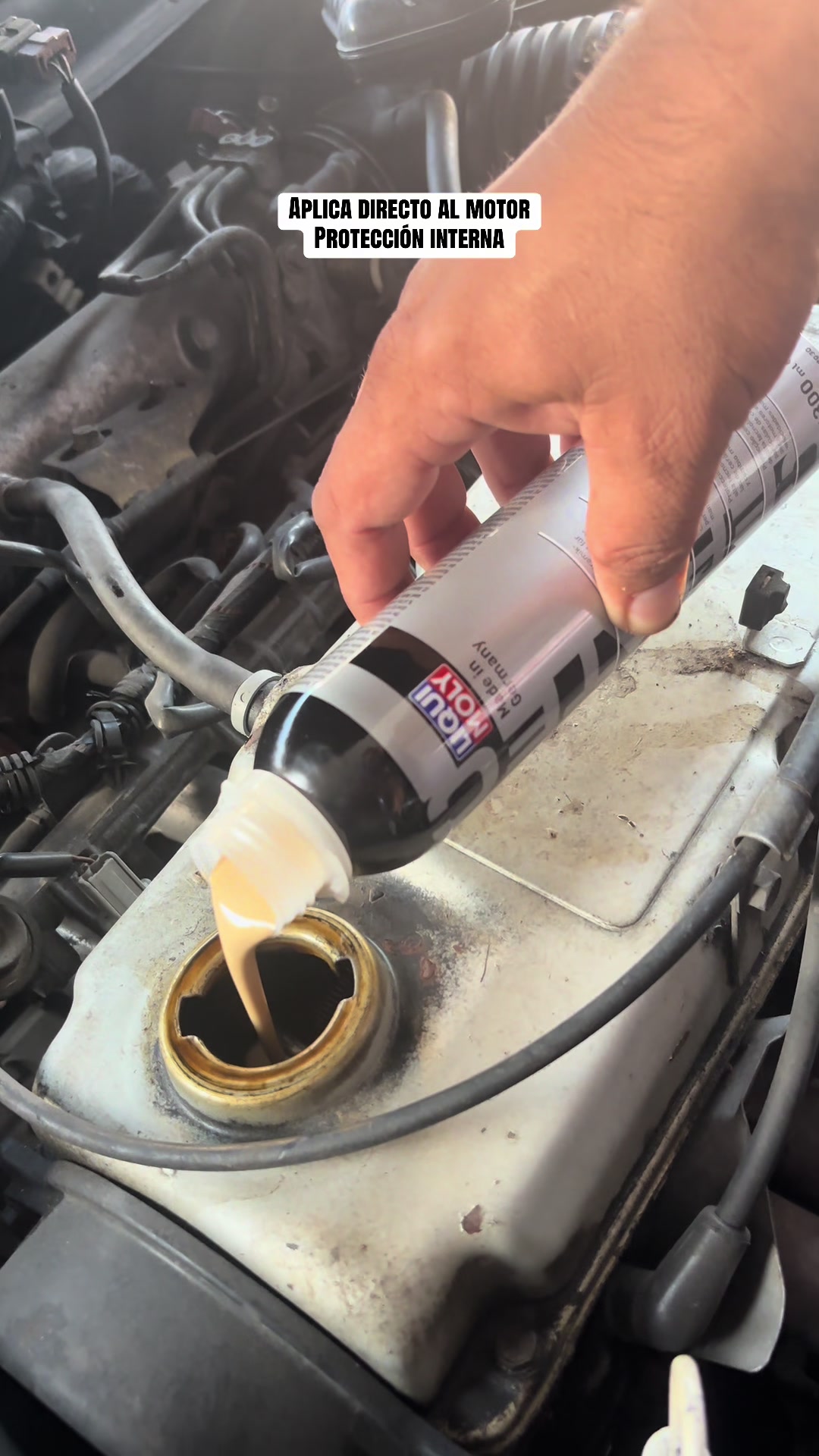 @Liquimoly El Salvador