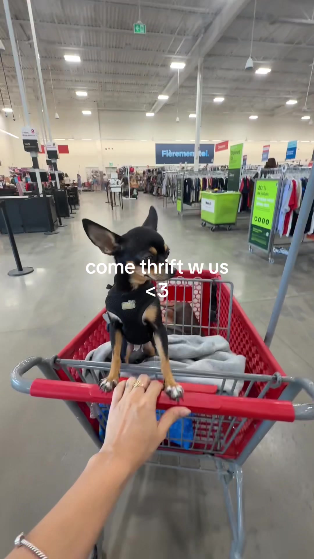 @notmaysterling