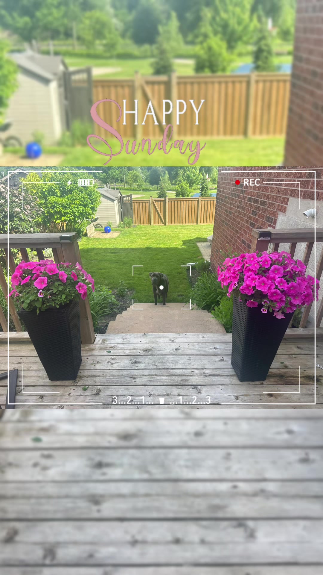 @Groomergonewild 🇨🇦