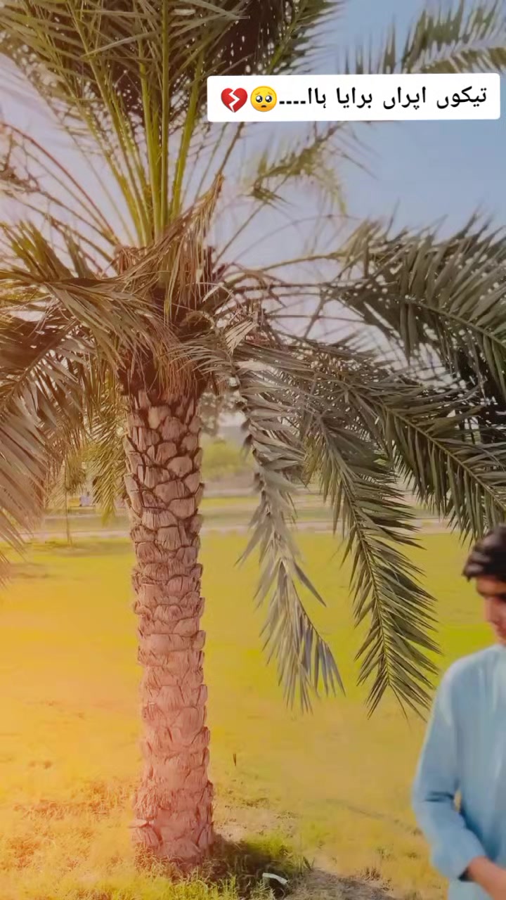 @لاشاری صاحب⚜️