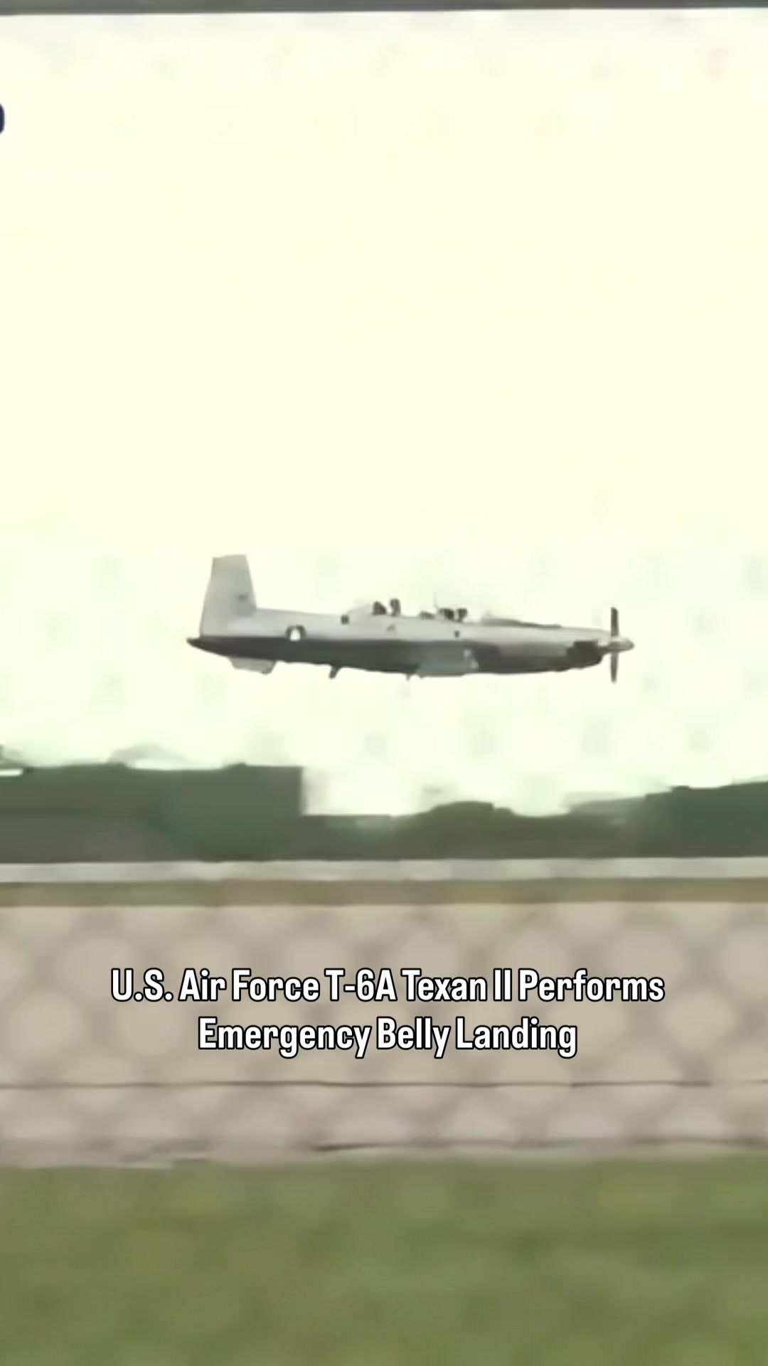 @Aviation Mafia