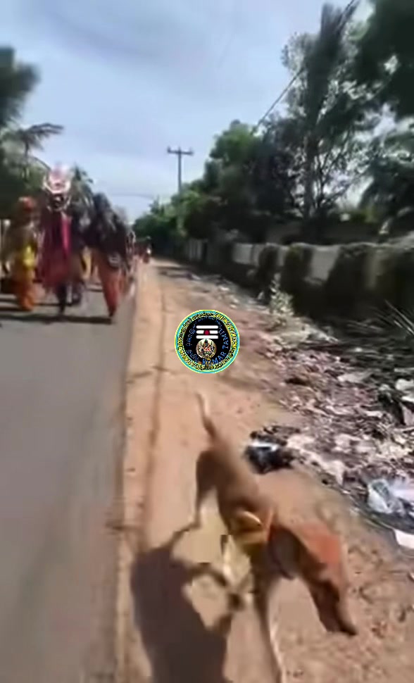 @Vanakkam NKR