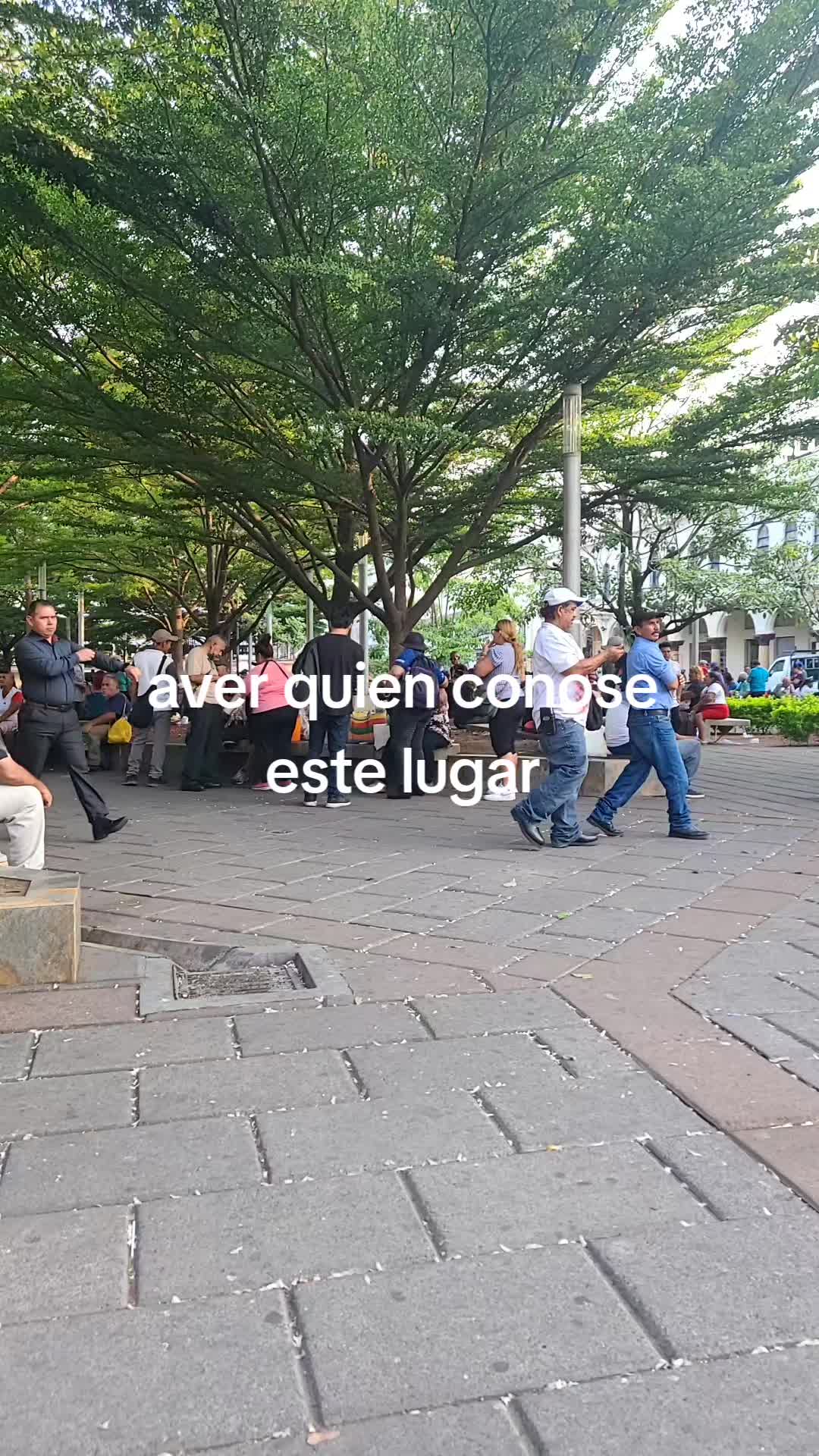 @Salvador @Umanzor