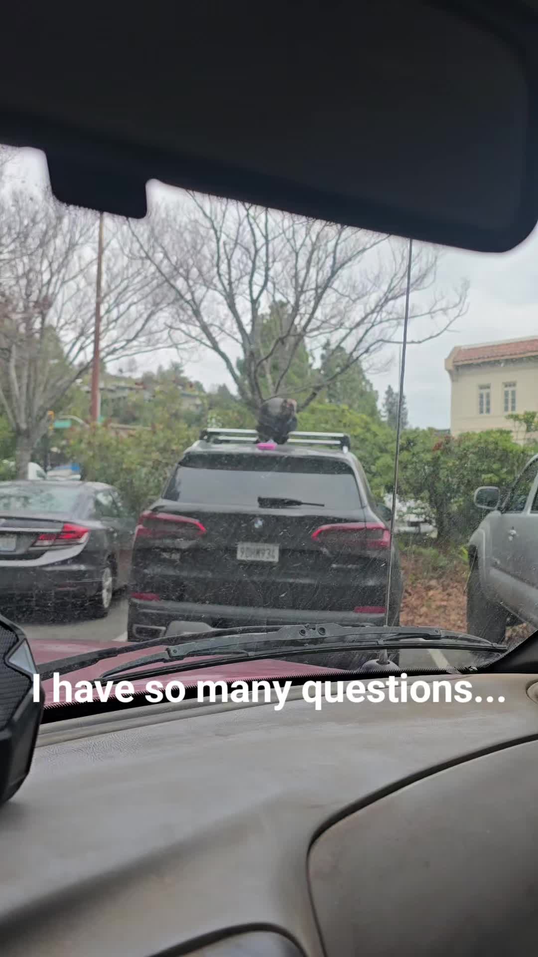 @Zack666