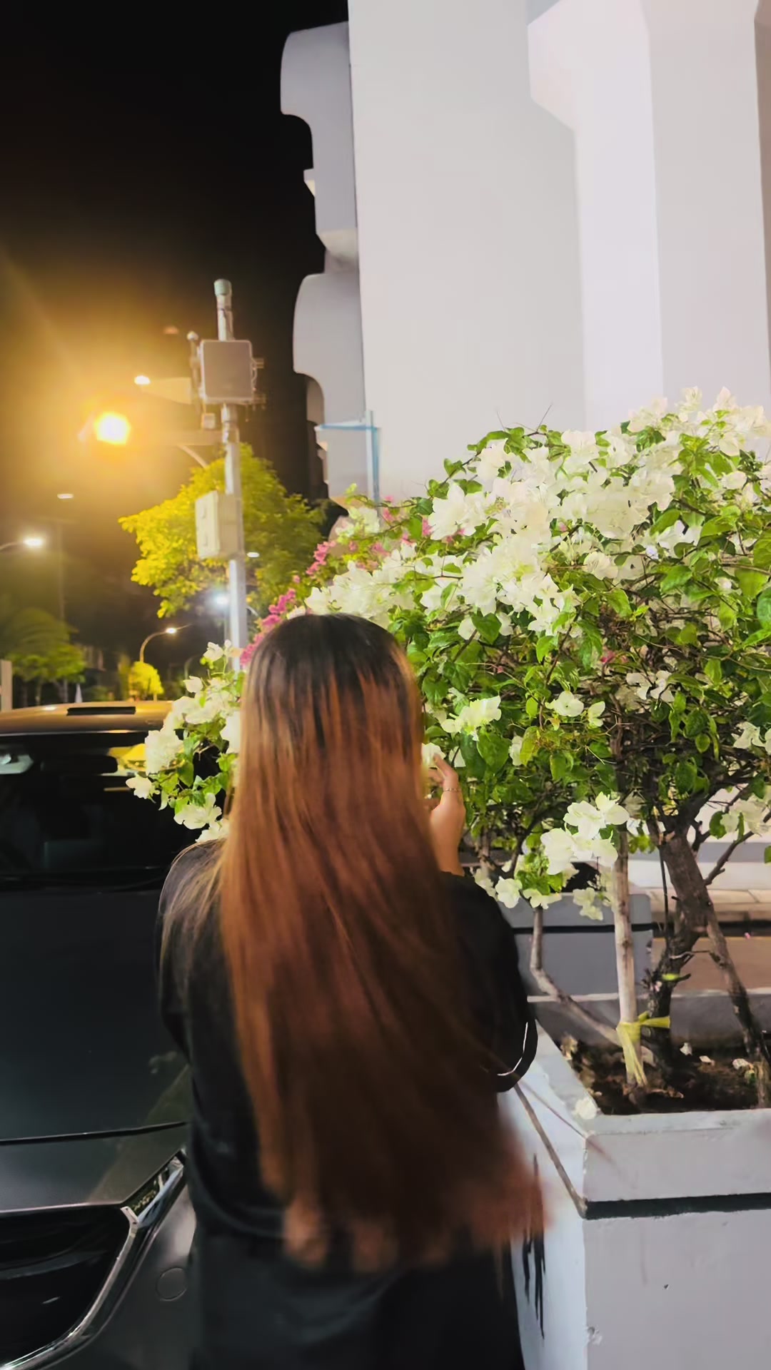 @sarulimbulabung