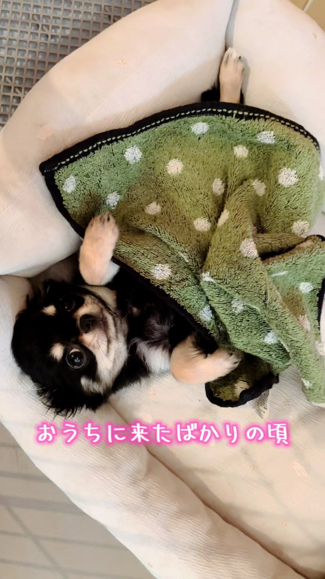 @ちぃちゃん🪽🎀