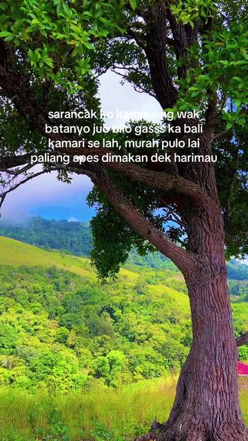 @Raun Sabalik